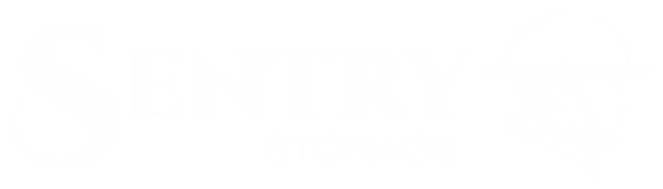 local storage logo